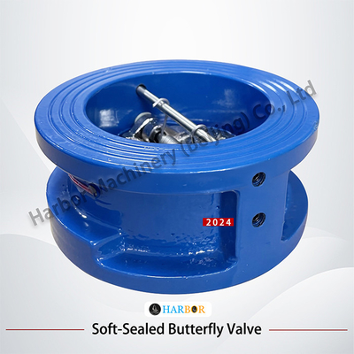 Direct Supply from DH77X-10 Wafer Connection Check Valve with Cast Iron Structure