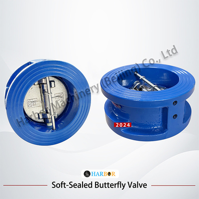 Direct Supply from DH77X-10 Wafer Connection Check Valve with Cast Iron Structure
