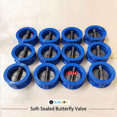 Direct Supply from DH77X-10 Wafer Connection Check Valve with Cast Iron Structure