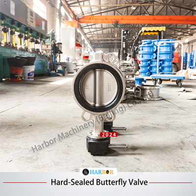 NBR EPDM Soft Seal 304 Stainless Steel Manual Turbine Handle Butterfly Valve D71X-10/16P