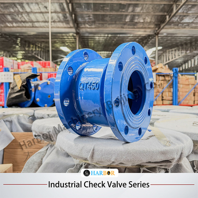H42H-16/25C Cast Steel Vertical Single-Direction Flanged Check Valve with OEM Support