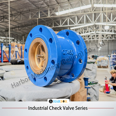 H42H-16/25C Cast Steel Vertical Single-Direction Flanged Check Valve with OEM Support