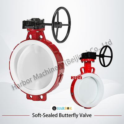 PTFE-Lined Turbine Wafer Butterfly Valve D371F46-16C with Acid and Alkali Resistance