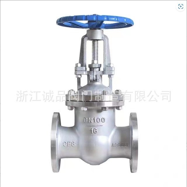 Customizable Stainless Steel Flanged Gate Valve Z41W-16P/25P for Water Market Needs